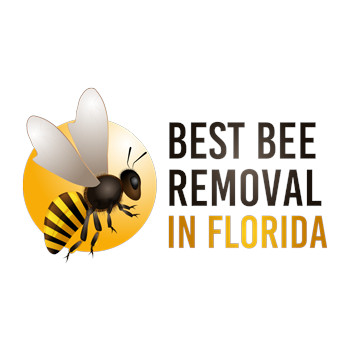 Best Bee Removal in Florida