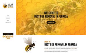 Our New Website is Live! Best Bee Removal in Florida