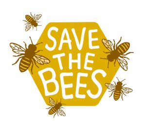 The Difference Between Bee Trappers and Bee Traps The Difference Between Bee Trappers and Bee Traps